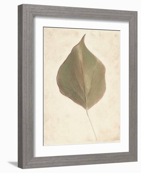 Single Leaf-Amy Melious-Framed Art Print