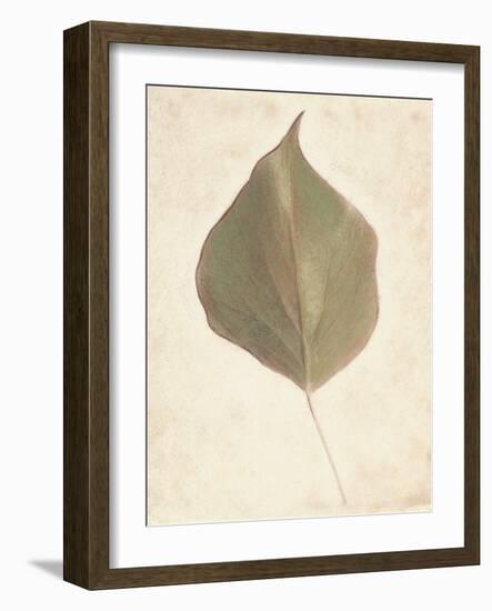 Single Leaf-Amy Melious-Framed Art Print