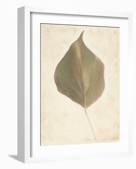 Single Leaf-Amy Melious-Framed Art Print