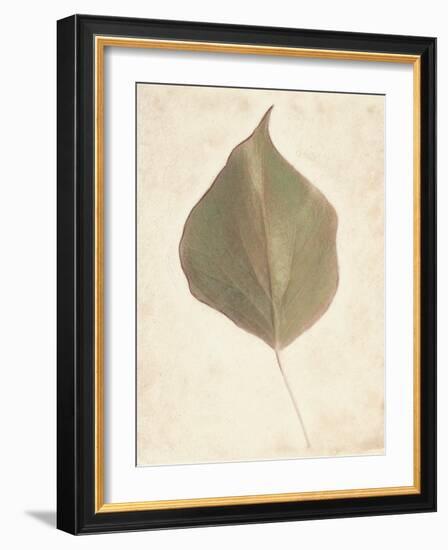 Single Leaf-Amy Melious-Framed Art Print