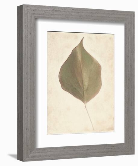 Single Leaf-Amy Melious-Framed Art Print