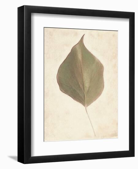 Single Leaf-Amy Melious-Framed Art Print