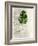 Single Leaf-Chamira Young-Framed Art Print