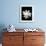 Single Magnolia-Jeff Pica-Framed Photographic Print displayed on a wall