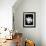 Single Magnolia-Jeff Pica-Framed Photographic Print displayed on a wall
