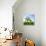 Single Oak in Grain Field in Spring, Back Light, Burgenlandkreis, Saxony-Anhalt, Germany-Andreas Vitting-Framed Premier Image Canvas displayed on a wall