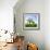 Single Oak in Grain Field in Spring, Back Light, Burgenlandkreis, Saxony-Anhalt, Germany-Andreas Vitting-Framed Photographic Print displayed on a wall