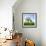 Single Oak in Grain Field in Spring, Back Light, Burgenlandkreis, Saxony-Anhalt, Germany-Andreas Vitting-Framed Photographic Print displayed on a wall