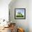 Single Oak in Grain Field in Spring, Back Light, Burgenlandkreis, Saxony-Anhalt, Germany-Andreas Vitting-Framed Photographic Print displayed on a wall