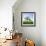 Single Oak in Grain Field in Spring, Back Light, Burgenlandkreis, Saxony-Anhalt, Germany-Andreas Vitting-Framed Photographic Print displayed on a wall