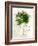 Single Palm-Chamira Young-Framed Art Print