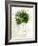 Single Palm-Chamira Young-Framed Art Print