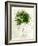 Single Palm-Chamira Young-Framed Art Print