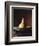 Single Pear in Bowl-David Jay Zimmerman-Framed Photographic Print