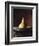 Single Pear in Bowl-David Jay Zimmerman-Framed Photographic Print