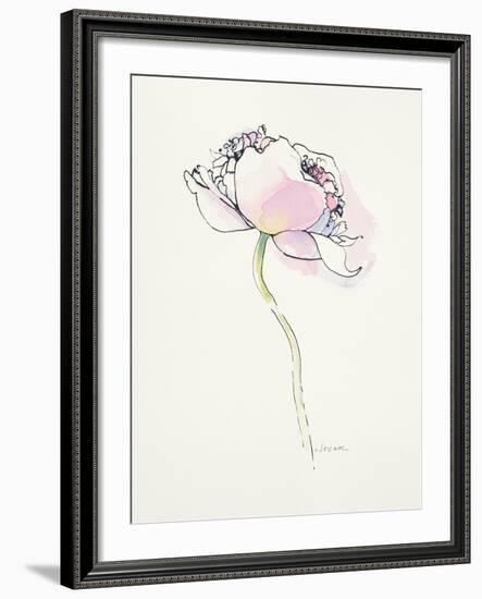 Single Pink Somniferum I-Shirley Novak-Framed Art Print