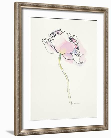 Single Pink Somniferum I-Shirley Novak-Framed Art Print