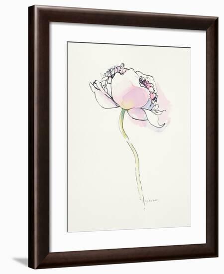 Single Pink Somniferum I-Shirley Novak-Framed Art Print