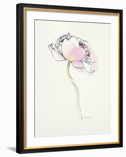 Single Pink Somniferum I-Shirley Novak-Framed Art Print