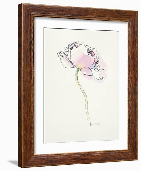 Single Pink Somniferum I-Shirley Novak-Framed Art Print