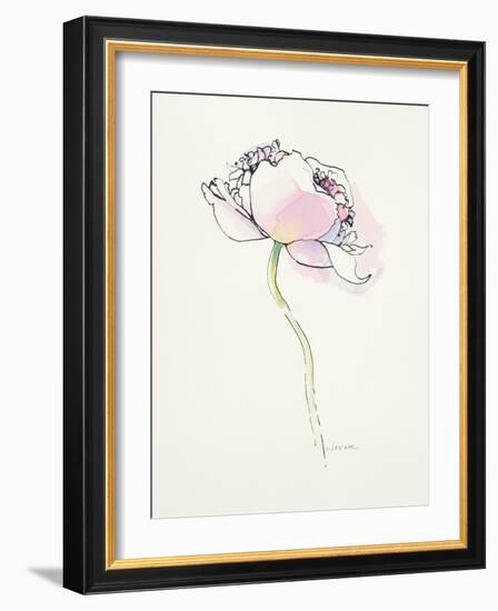 Single Pink Somniferum I-Shirley Novak-Framed Art Print