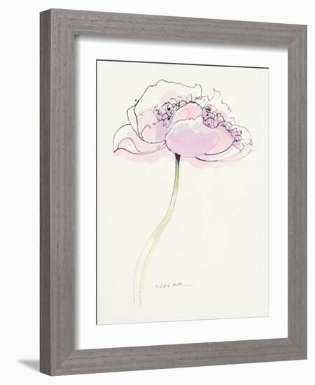 Single Pink Somniferum II-Shirley Novak-Framed Art Print