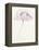 Single Pink Somniferum II-Shirley Novak-Framed Stretched Canvas