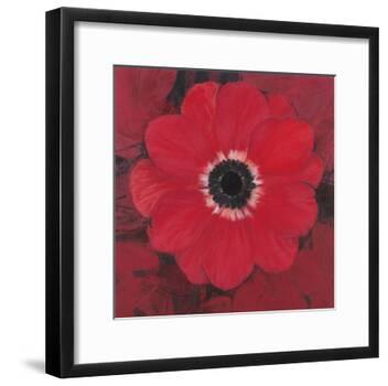 Single Red Anemone-Ivo-Framed Art Print