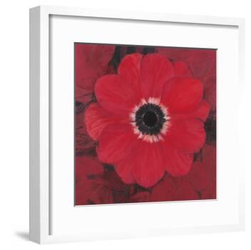 Single Red Anemone-Ivo-Framed Art Print