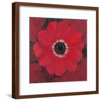 Single Red Anemone-Ivo-Framed Art Print