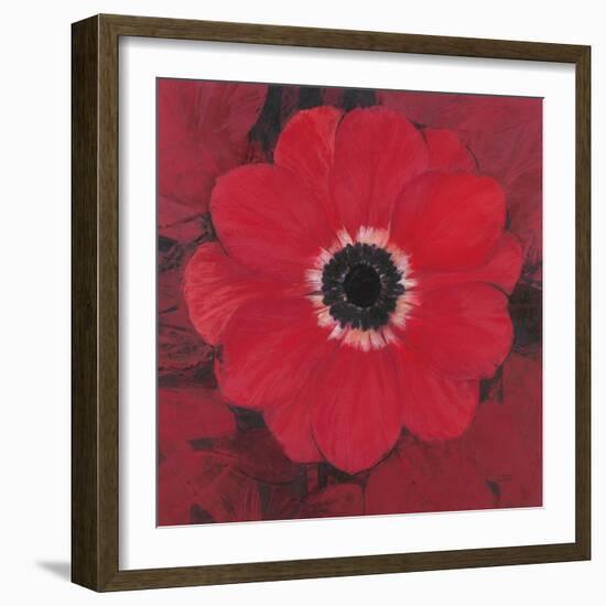 Single Red Anemone-Ivo-Framed Premium Giclee Print