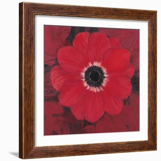 Single Red Anemone-Ivo-Framed Premium Giclee Print