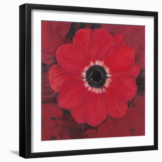 Single Red Anemone-Ivo-Framed Premium Giclee Print