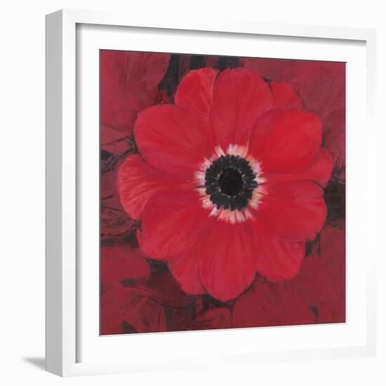 Single Red Anemone-Ivo-Framed Premium Giclee Print