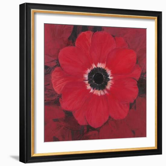 Single Red Anemone-Ivo-Framed Premium Giclee Print