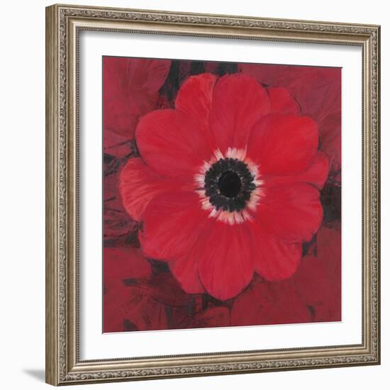 Single Red Anemone-Ivo-Framed Art Print