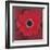 Single Red Anemone-Ivo-Framed Art Print