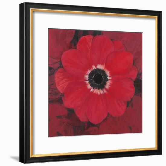 Single Red Anemone-Ivo-Framed Art Print