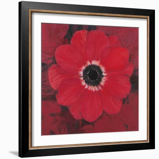 Single Red Anemone-Ivo-Framed Art Print