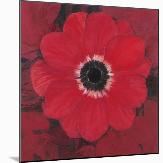 Single Red Anemone-Ivo-Mounted Art Print