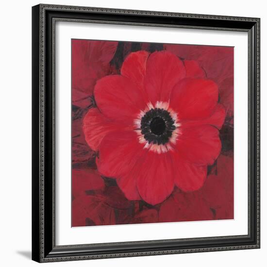 Single Red Anemone-Ivo-Framed Art Print