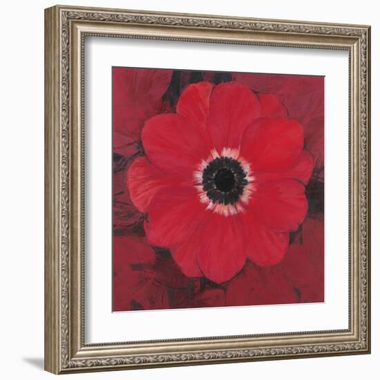 Single Red Anemone-Ivo-Framed Art Print