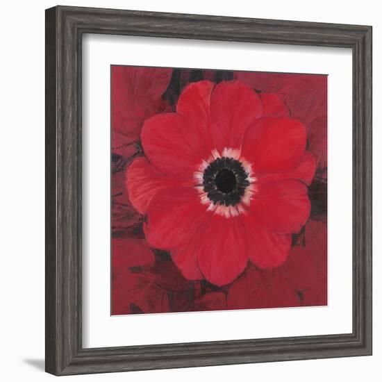 Single Red Anemone-Ivo-Framed Art Print