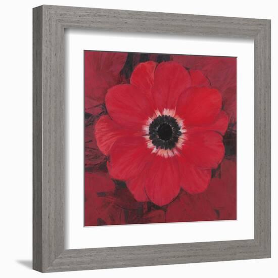 Single Red Anemone-Ivo-Framed Art Print