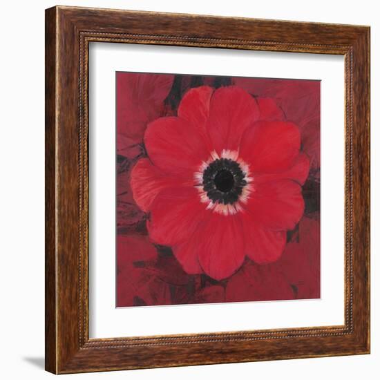 Single Red Anemone-Ivo-Framed Art Print