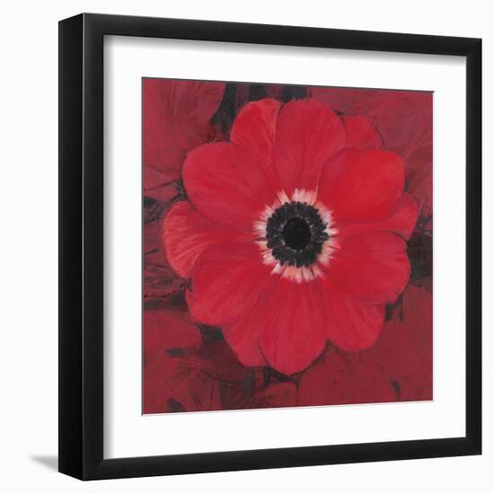 Single Red Anemone-Ivo-Framed Art Print