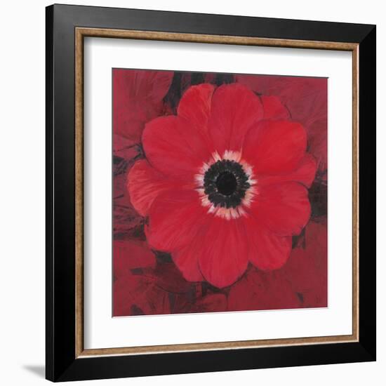 Single Red Anemone-Ivo-Framed Art Print