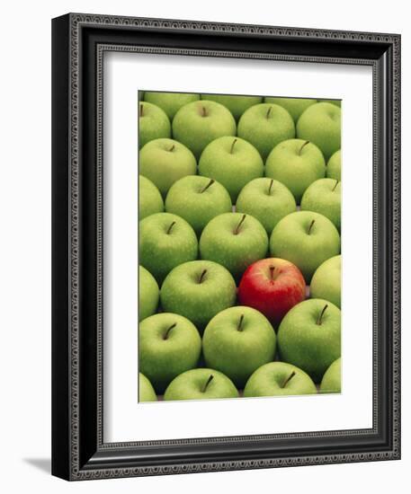 Single Red Apple Among a Number of Green Apples-John Miller-Framed Photographic Print