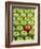 Single Red Apple Among a Number of Green Apples-John Miller-Framed Photographic Print