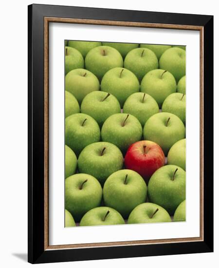 Single Red Apple Among a Number of Green Apples-John Miller-Framed Photographic Print